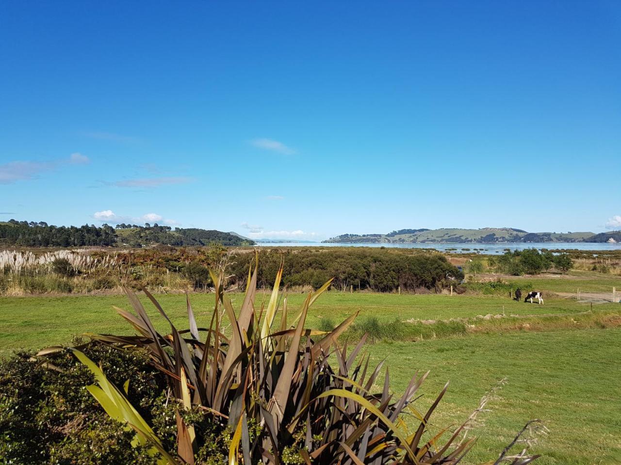 The Little Farm Coromandel Hotel Exterior photo