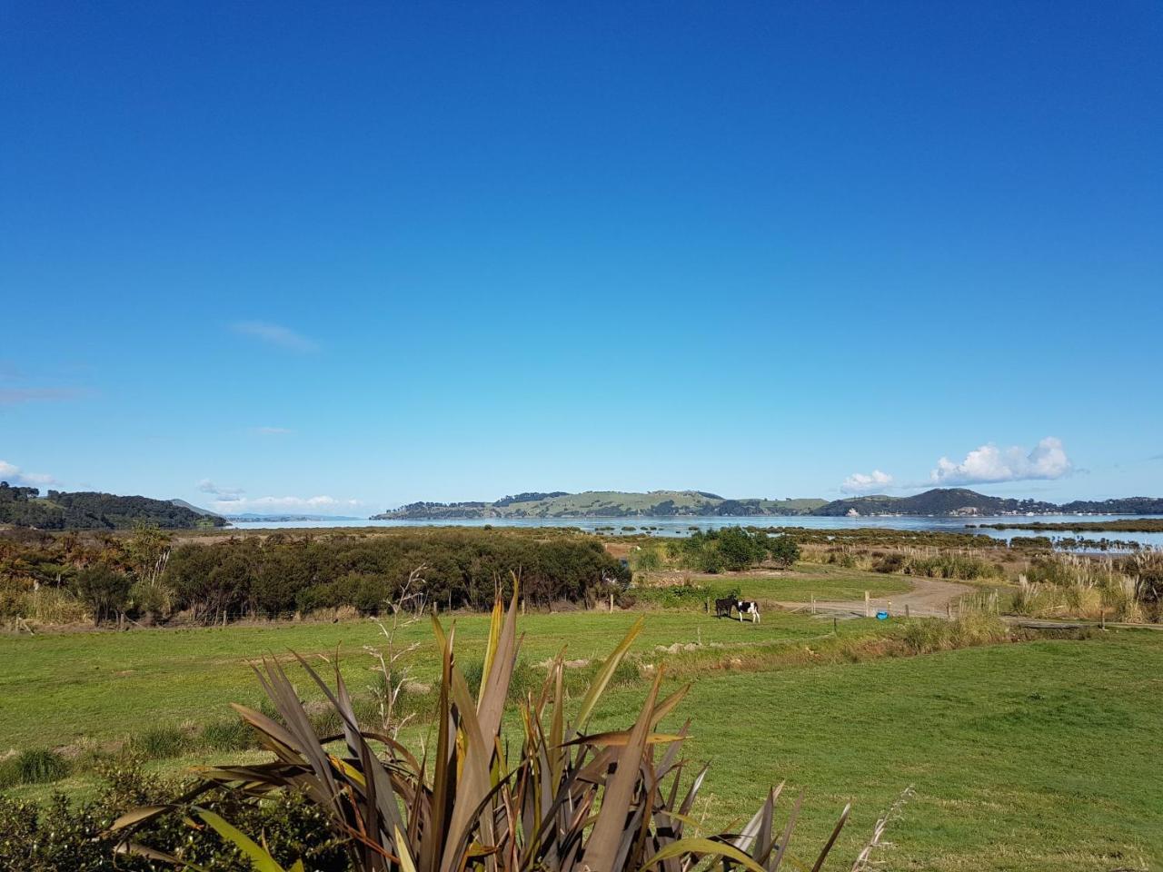 The Little Farm Coromandel Hotel Exterior photo